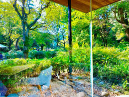 窓辺に広がる四季折々の草花や風に揺れる木々の葉緑